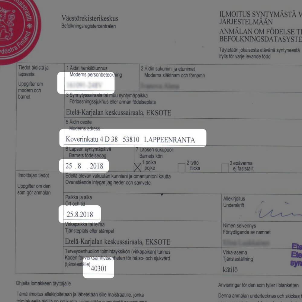 highlighted fragments in a birth certificate, which translators pay attention to most